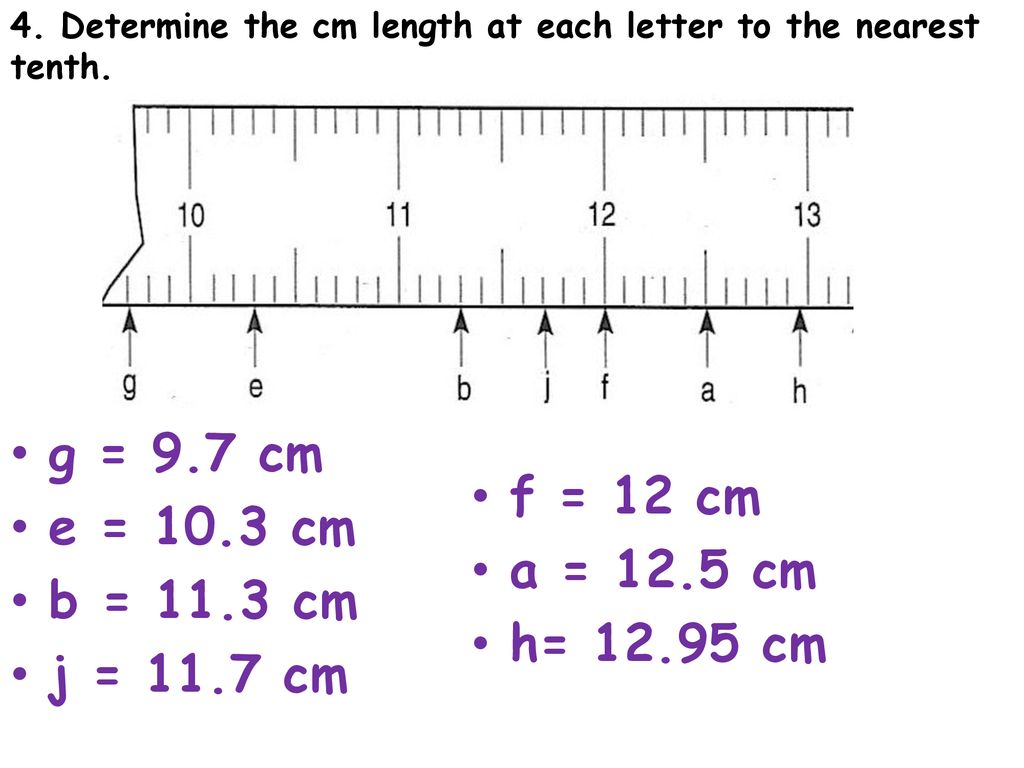 12.5 sale cm ruler
